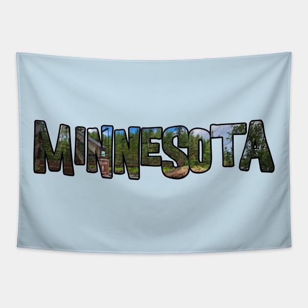 Minnesota (Tettegouche State Park) Tapestry by gorff