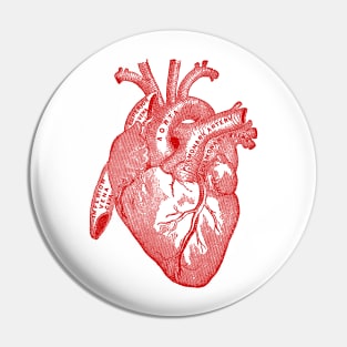 Vintage Medical Illustration of Human Heart Pin