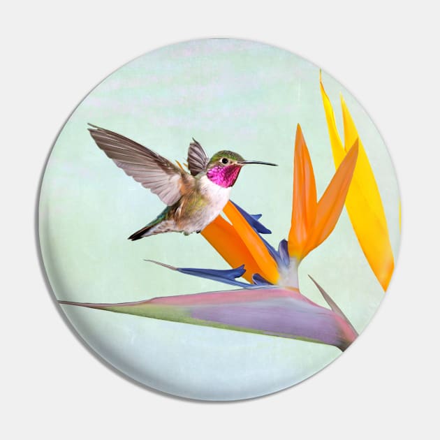 Hummingbird and Bird of Paradise Pin by lauradyoung