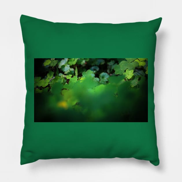 Green Clover Pillow by 1Redbublppasswo