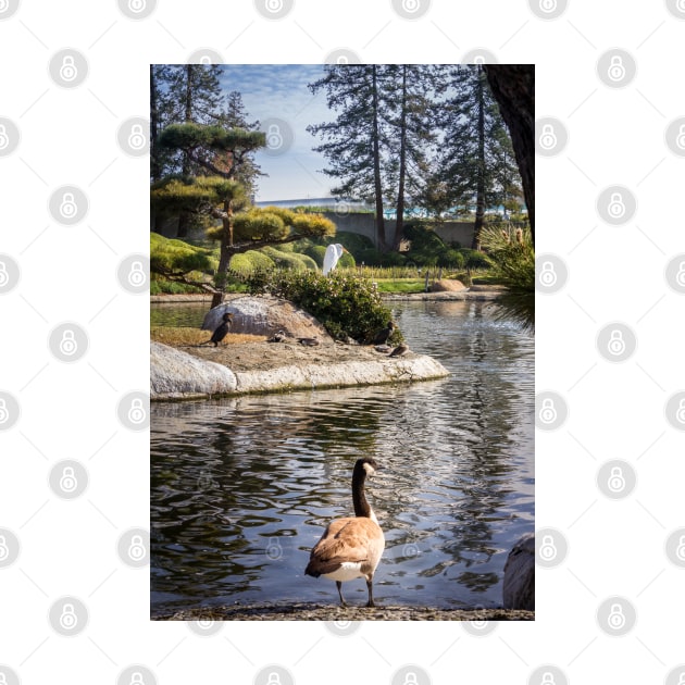 Japanese Garden Woodley Park California 3 by Robert Alsop