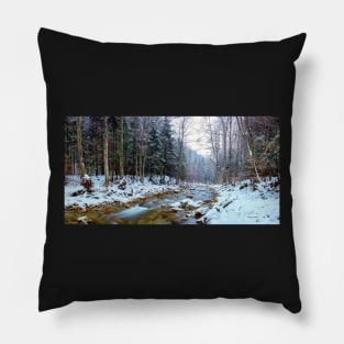 Oltetului river and pass in Romania Pillow