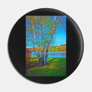 Lake Naomi Pocono Mountains Pin