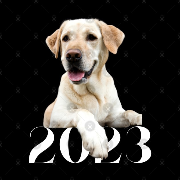 2023 Canine Design by B C Designs