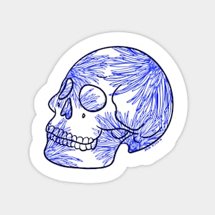 Fine china skull Magnet