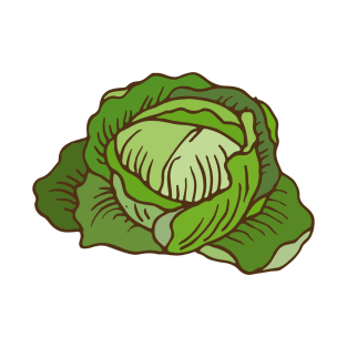 Cabbage T-Shirt