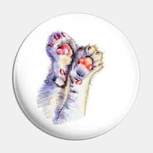 Cat paws Pin