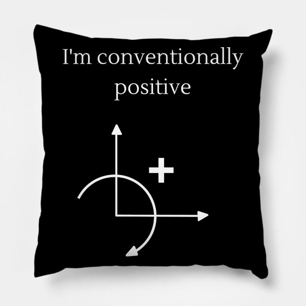 I'm conventionally positive Pillow by wondrous
