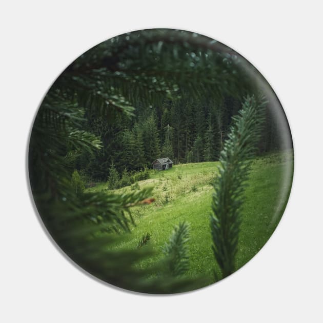 through the fir needles Pin by psychoshadow