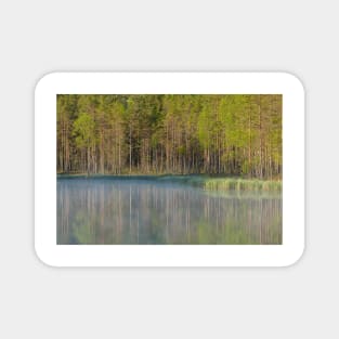 Forest reflecting to small lake at morning Magnet