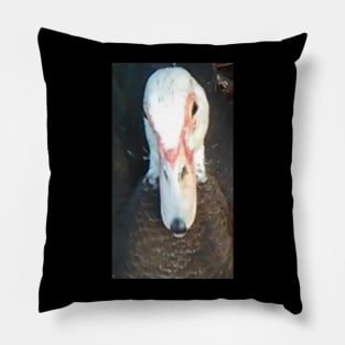 Papa duck Pillow