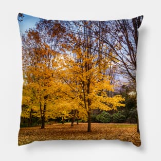 Golden Autumn in New Zealand Pillow