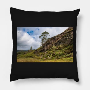 Walking over Holme Fell Pillow