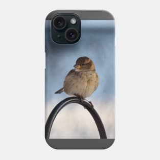 Winter Female House Sparrow Phone Case