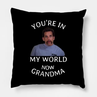 You're in my world now Grandma Pillow