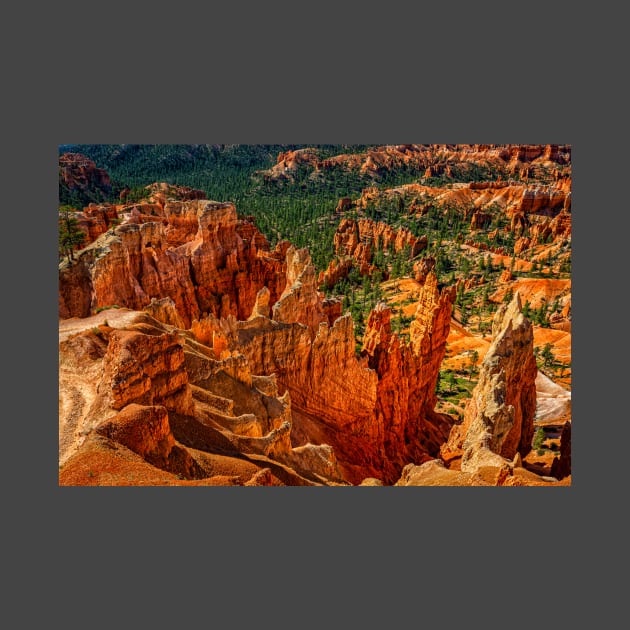 Bryce Canyon National Park by Gestalt Imagery