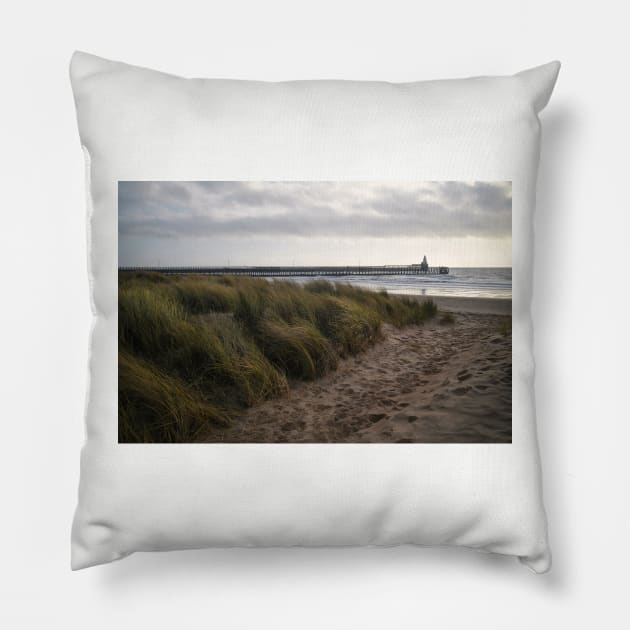 The path to the beach Pillow by Violaman