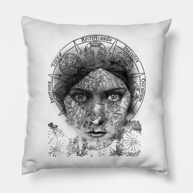 The Eyes of Alchemy Pillow by Anthraey