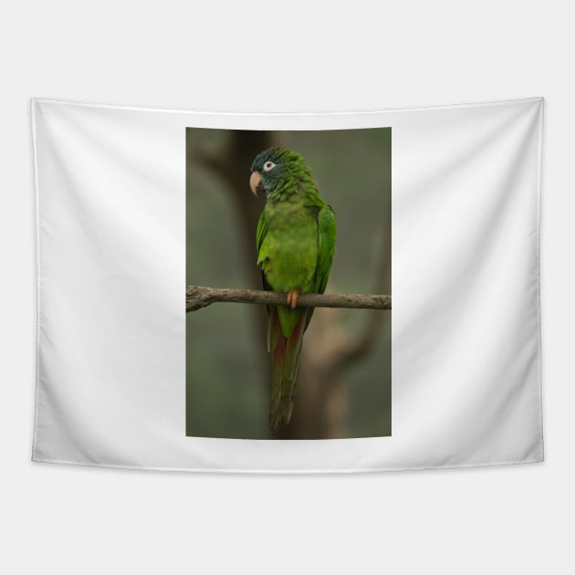 112418 Green Parrot Tapestry by pcfyi