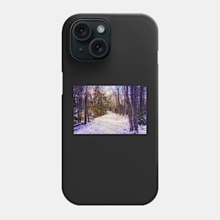 Hemlock Ravine Park Phone Case