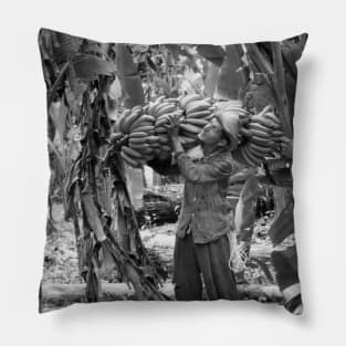 Ecuador Banana Plantation Pillow