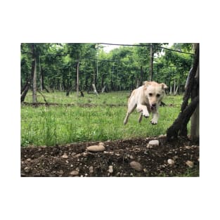 Doggy through the grapevine. T-Shirt