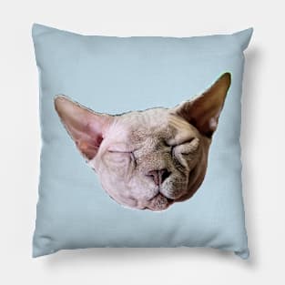 The Guru Says Think Peaceful Thoughts, You Are One With the Universe Pillow