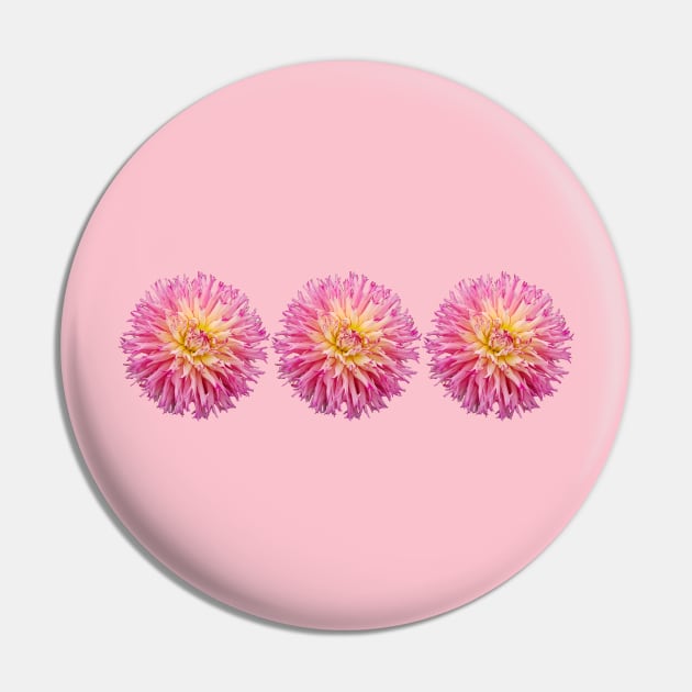 Three Pink Dahlias Floral Photo Pin by ellenhenryart