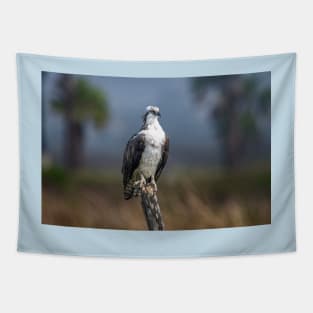 Osprey Patiently Waiting Tapestry