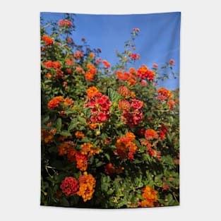 Desert Flowers in Golden Afternoon Sun Tapestry