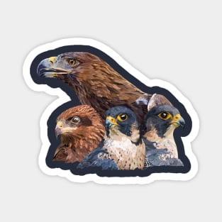 Birds of prey Magnet