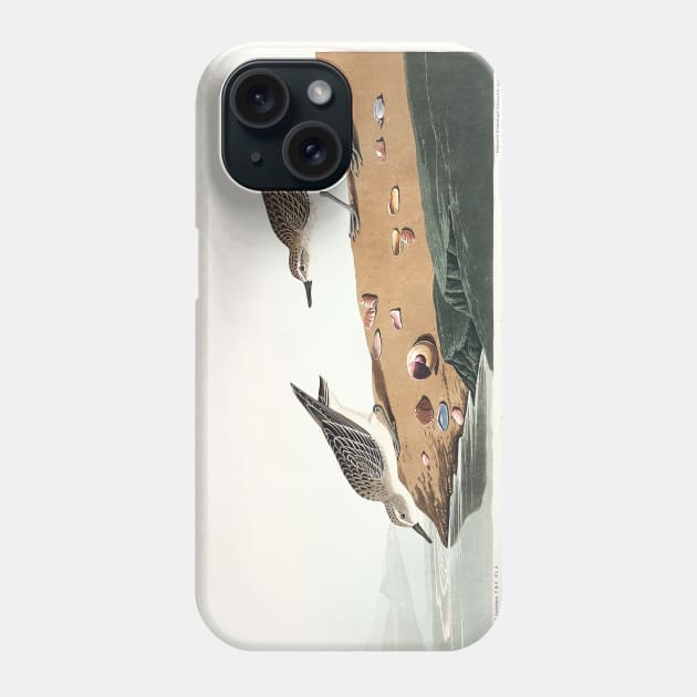 Semipalmated Sandpiper from Birds of America (1827) Phone Case by WAITE-SMITH VINTAGE ART