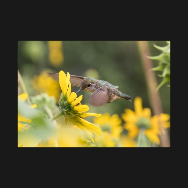 Humming Flower by Jacquelie