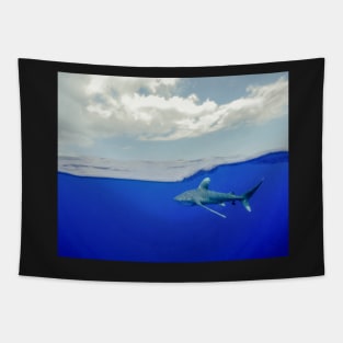 An Oceanic White Tip Shark Cruising Under the Clouds in the Bahamas Tapestry