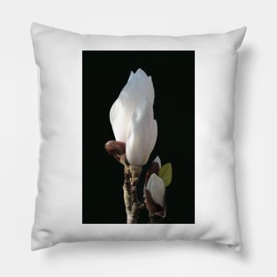 Budding magnolia Pillow