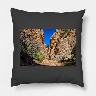 Lick Wash Trail Hike Pillow