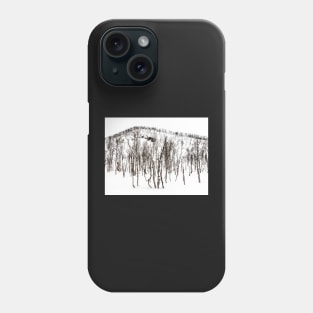 Northern Norway winter forest Phone Case