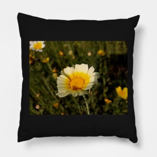 Beautiful summer white flowers Pillow