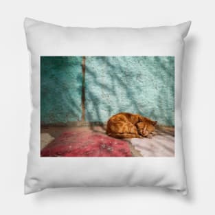 Cat orange sleep (naps) Pillow