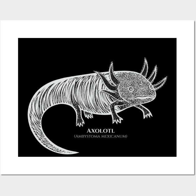 Axolotl Gifts, Pets Animals amphibians Axolotls' Men's Tall T-Shirt