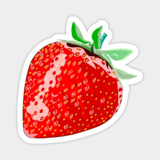 Strawberry Magnet