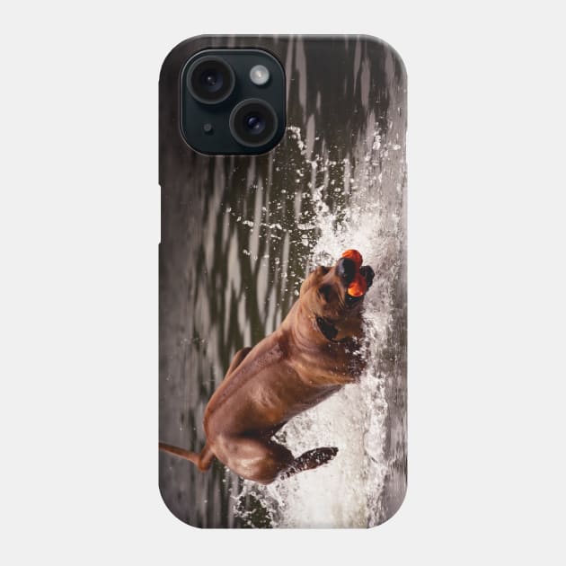 Rhodesian Ridgeback Phone Case by hottehue