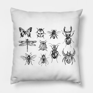 Insect Collection Pillow