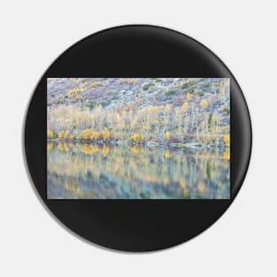 Late Fall Reflections Pin