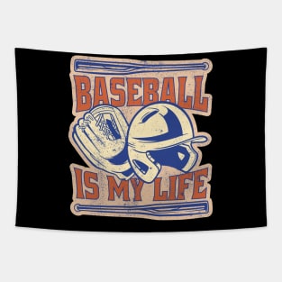 Vintage Distressed Baseball Lover Tapestry