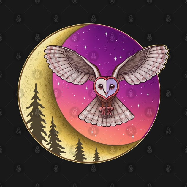 Barn Owl Night by Robbgoblin