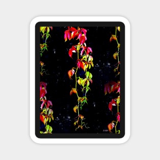 Virginia Creeper Magnet