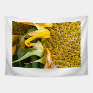 A Flower Of Sunshine Seed Lights Tapestry