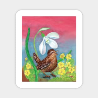 Wren Bird (Troglodytes troglodytes) and a Snowdrop Illustration Magnet