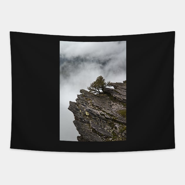 Cloud at Bluff Knoll Tapestry by fotoWerner